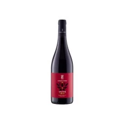 Gorghi Tondi Vivitis Rosso Cl. 75