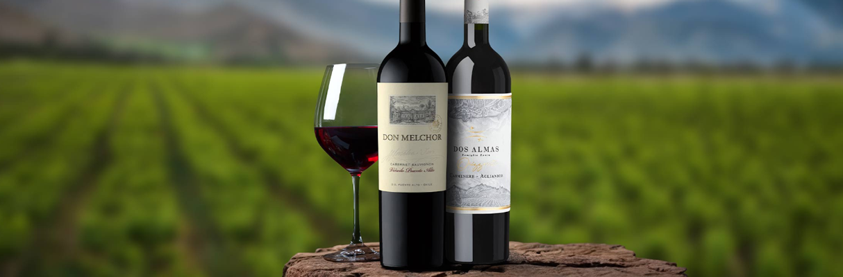 Negozio Di Cucina -Negozio Di Cucina QBLP6 SZR5DDGW J4